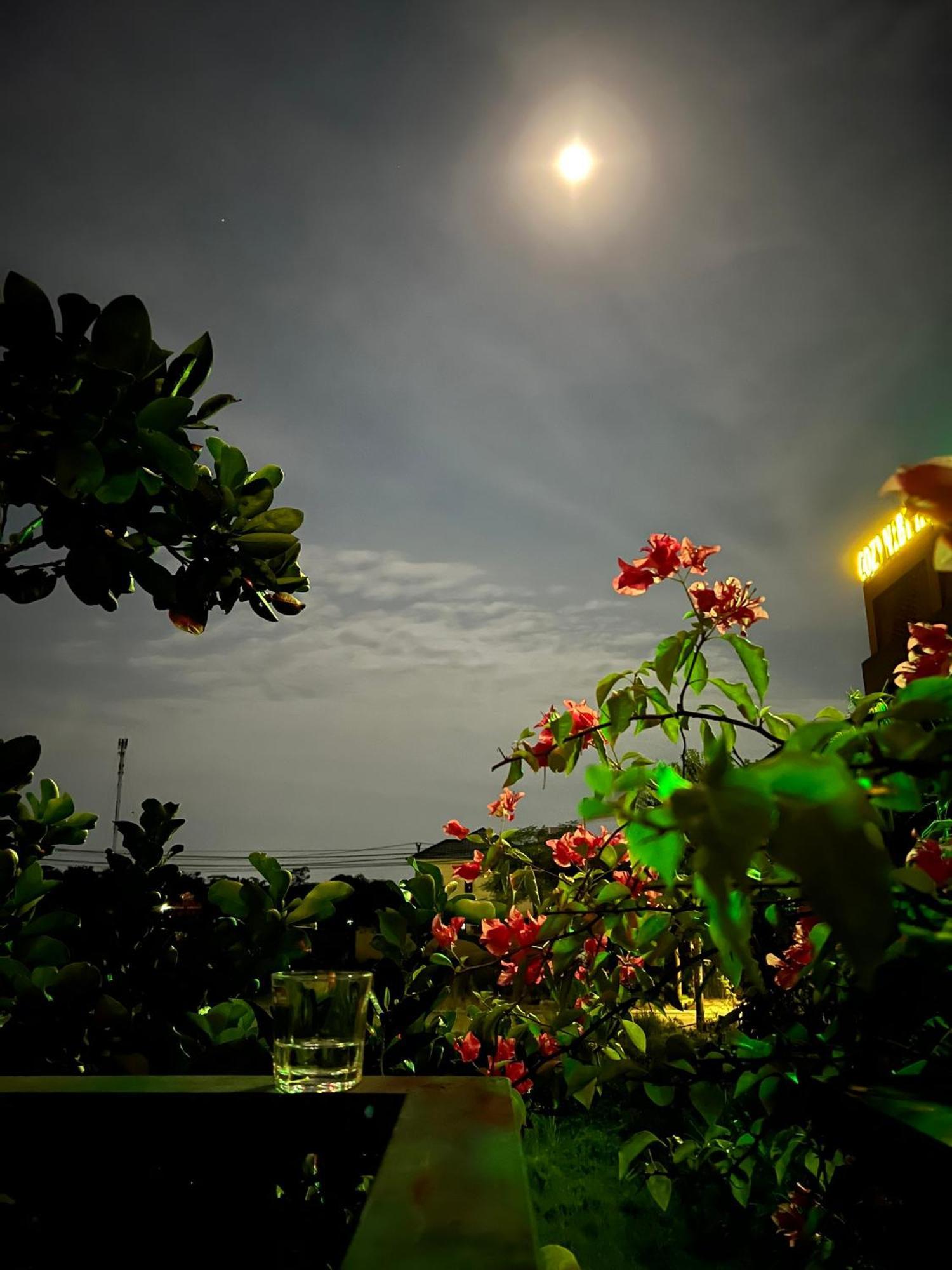 Tam Coc Golden Sun Villa Vu Lam エクステリア 写真